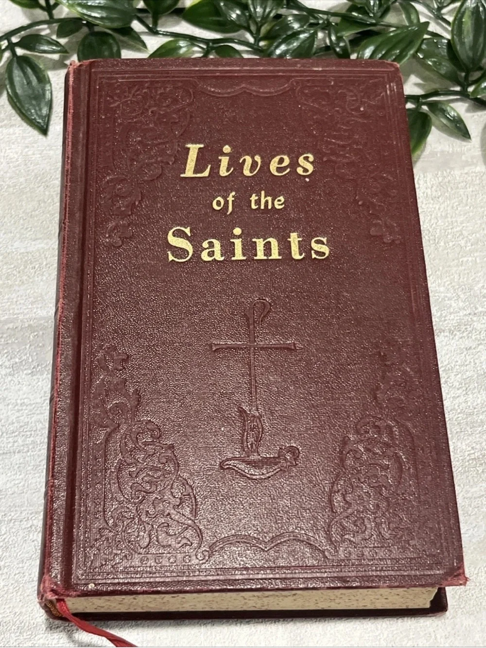 Lives of the Saints for Every Day of the Year Illustrated 1961